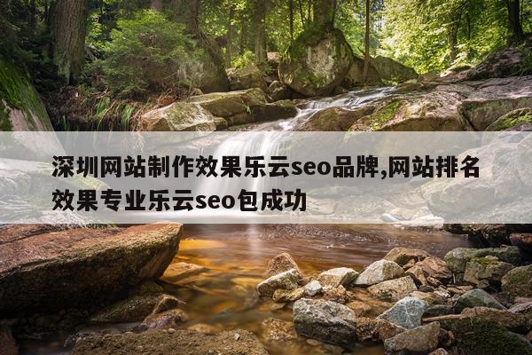 深圳网站制作效果乐云seo品牌,网站排名效果专业乐云seo包成功