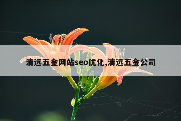 清远五金网站seo优化,清远五金公司