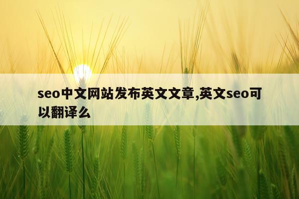 seo中文网站发布英文文章,英文seo可以翻译么
