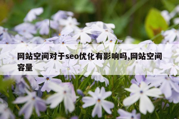网站空间对于seo优化有影响吗,网站空间容量