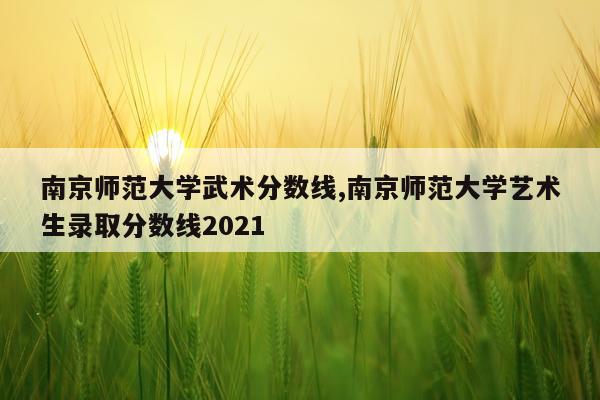 南京师范大学武术分数线,南京师范大学艺术生录取分数线2021