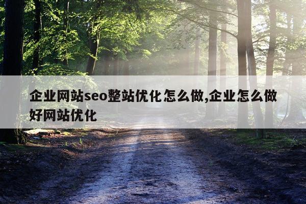 企业网站seo整站优化怎么做,企业怎么做好网站优化