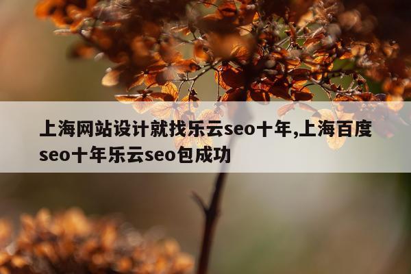 上海网站设计就找乐云seo十年,上海百度seo十年乐云seo包成功