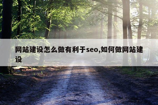 网站建设怎么做有利于seo,如何做网站建设