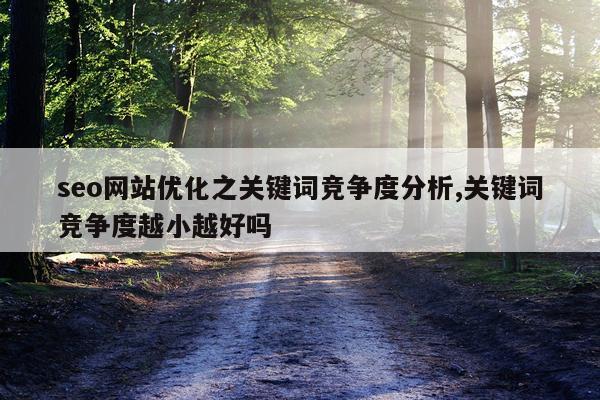 seo网站优化之关键词竞争度分析,关键词竞争度越小越好吗