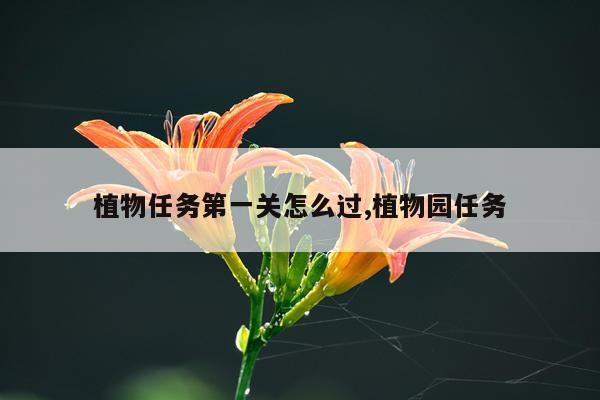 植物任务第一关怎么过,植物园任务