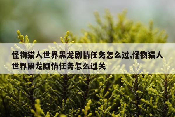 怪物猎人世界黑龙剧情任务怎么过,怪物猎人世界黑龙剧情任务怎么过关