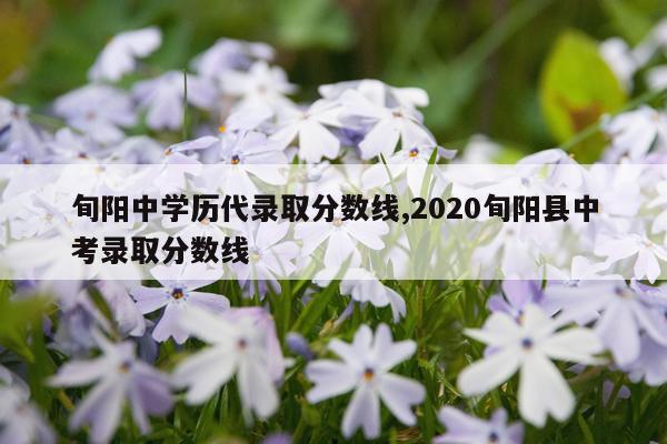 旬阳中学历代录取分数线,2020旬阳县中考录取分数线