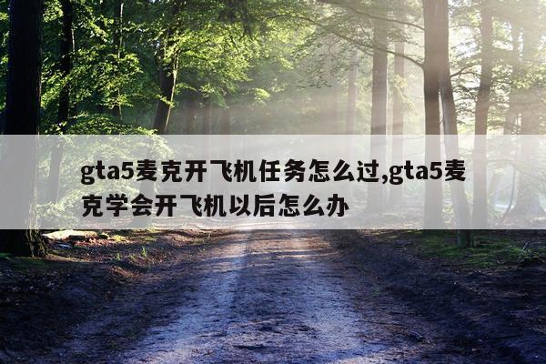 gta5麦克开飞机任务怎么过,gta5麦克学会开飞机以后怎么办