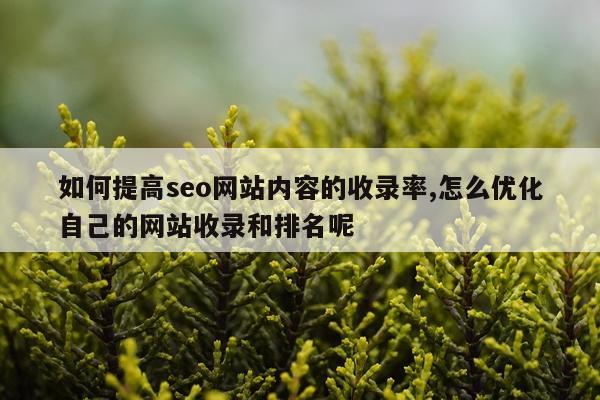 如何提高seo网站内容的收录率,怎么优化自己的网站收录和排名呢