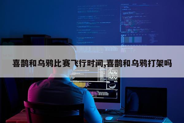 喜鹊和乌鸦比赛飞行时间,喜鹊和乌鸦打架吗