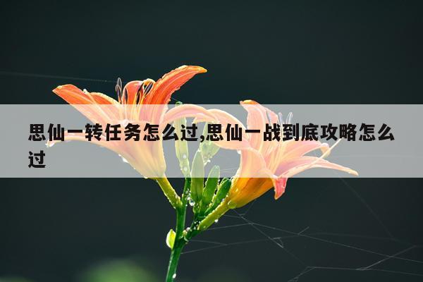 思仙一转任务怎么过,思仙一战到底攻略怎么过