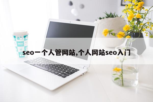seo一个人管网站,个人网站seo入门