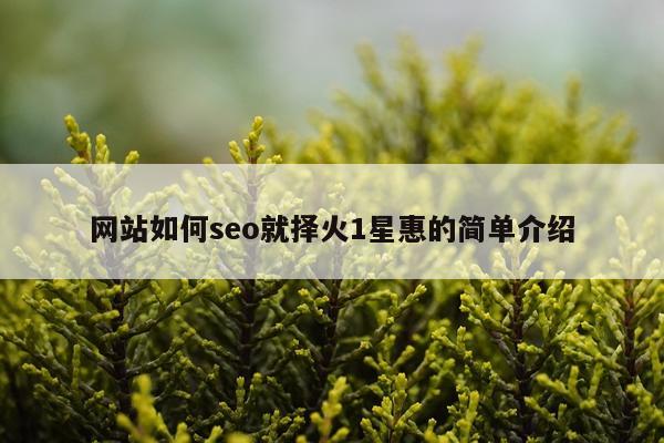网站如何seo就择火1星惠的简单介绍