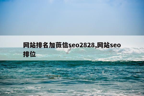 网站排名加薇信seo2828,网站seo排位