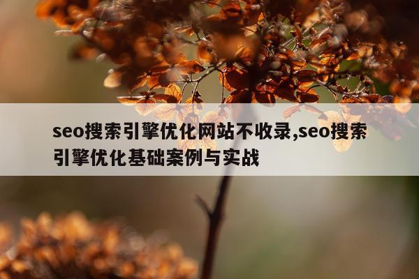 seo搜索引擎优化网站不收录,seo搜索引擎优化基础案例与实战
