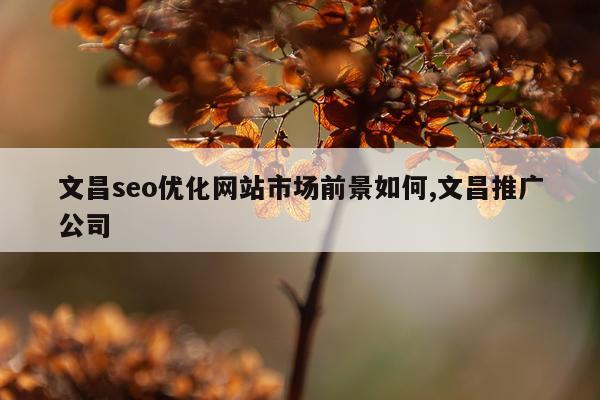 文昌seo优化网站市场前景如何,文昌推广公司
