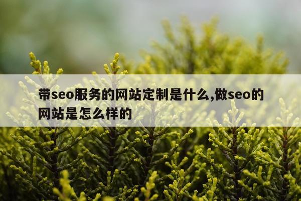 带seo服务的网站定制是什么,做seo的网站是怎么样的