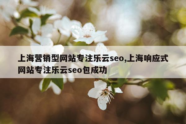 上海营销型网站专注乐云seo,上海响应式网站专注乐云seo包成功