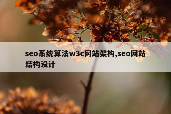 seo系统算法w3c网站架构,seo网站结构设计