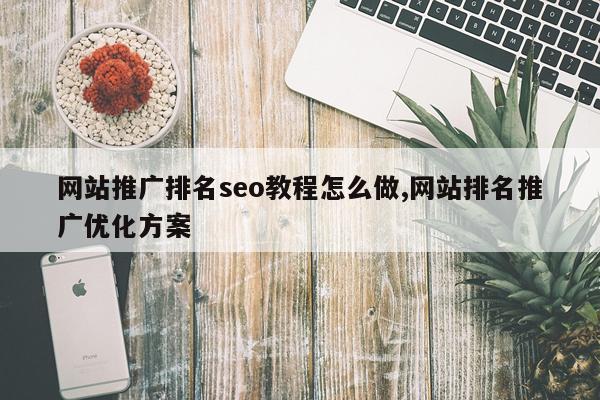 网站推广排名seo教程怎么做,网站排名推广优化方案