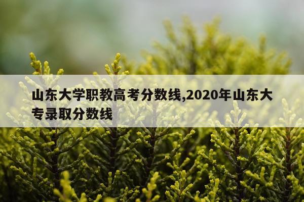 山东大学职教高考分数线,2020年山东大专录取分数线