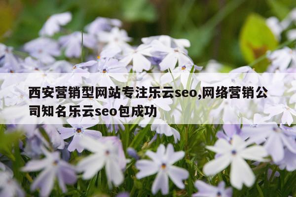 西安营销型网站专注乐云seo,网络营销公司知名乐云seo包成功
