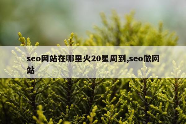 seo网站在哪里火20星周到,seo做网站
