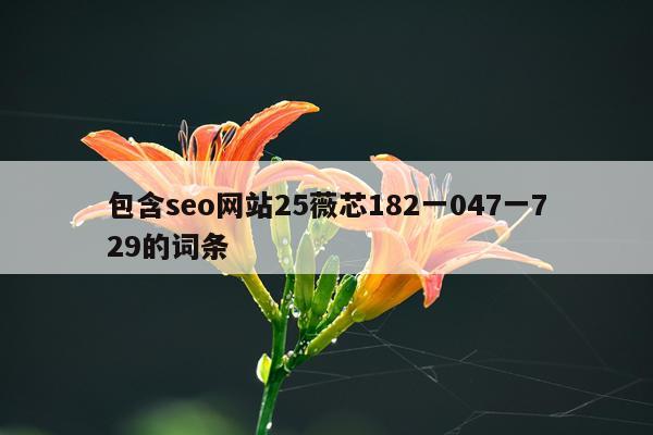 包含seo网站25薇芯182一047一729的词条