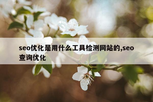 seo优化是用什么工具检测网站的,seo查询优化