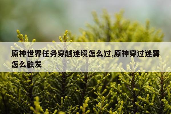 原神世界任务穿越迷境怎么过,原神穿过迷雾怎么触发