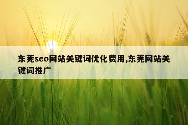 东莞seo网站关键词优化费用,东莞网站关键词推广