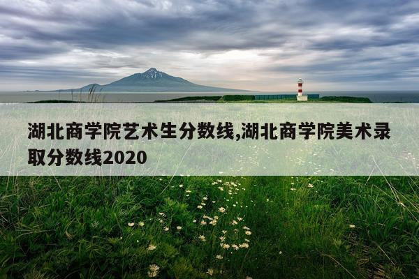 湖北商学院艺术生分数线,湖北商学院美术录取分数线2020