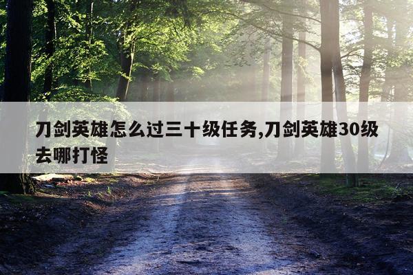刀剑英雄怎么过三十级任务,刀剑英雄30级去哪打怪