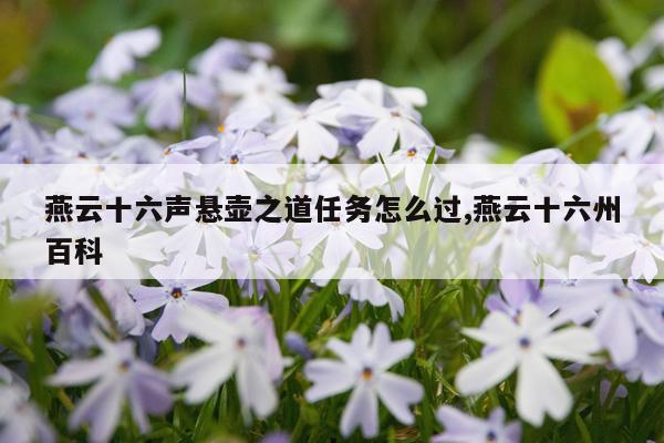 燕云十六声悬壶之道任务怎么过,燕云十六州百科
