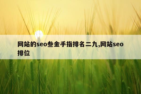 网站的seo叁金手指排名二九,网站seo排位