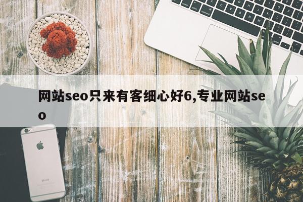网站seo只来有客细心好6,专业网站seo