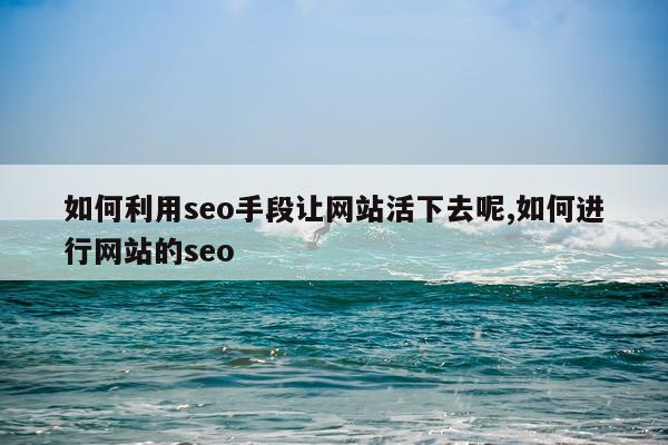 如何利用seo手段让网站活下去呢,如何进行网站的seo