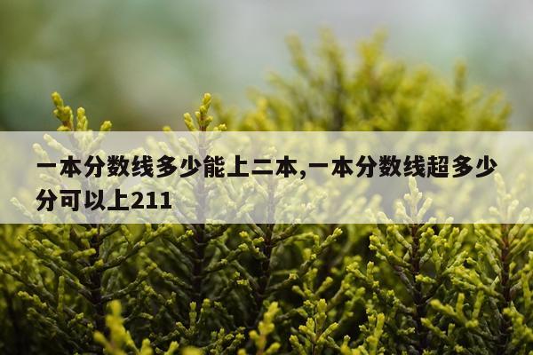 一本分数线多少能上二本,一本分数线超多少分可以上211