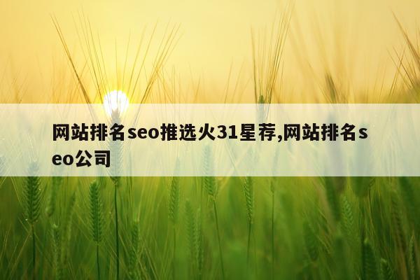 网站排名seo推选火31星荐,网站排名seo公司