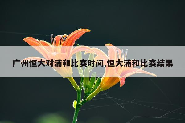广州恒大对浦和比赛时间,恒大浦和比赛结果