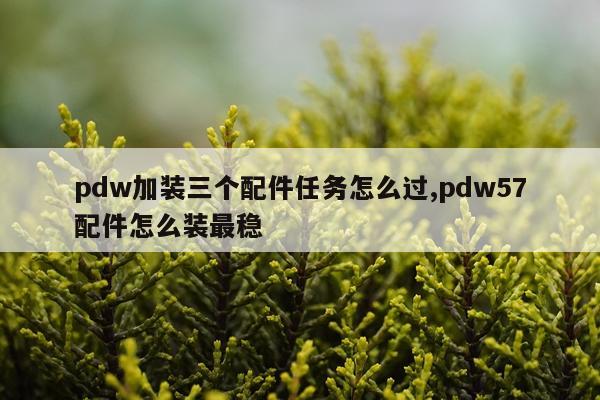 pdw加装三个配件任务怎么过,pdw57配件怎么装最稳
