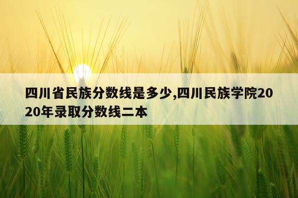 四川省民族分数线是多少,四川民族学院2020年录取分数线二本