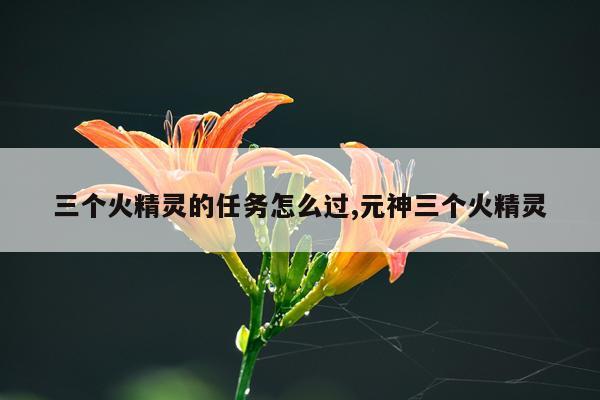 三个火精灵的任务怎么过,元神三个火精灵