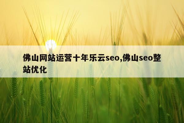 佛山网站运营十年乐云seo,佛山seo整站优化