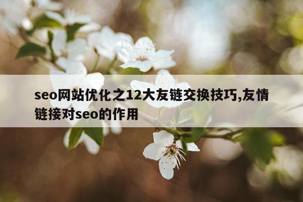 seo网站优化之12大友链交换技巧,友情链接对seo的作用
