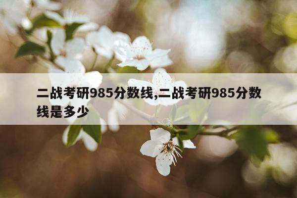 二战考研985分数线,二战考研985分数线是多少
