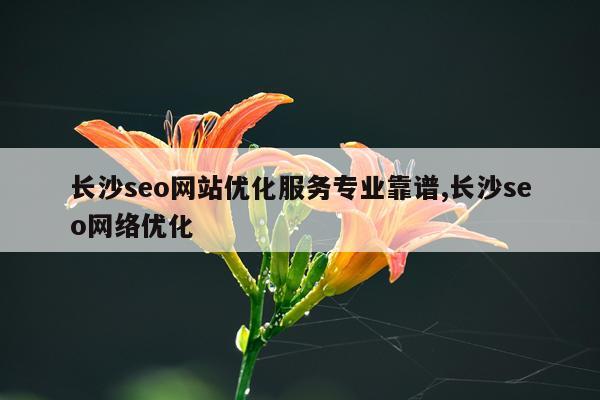 长沙seo网站优化服务专业靠谱,长沙seo网络优化