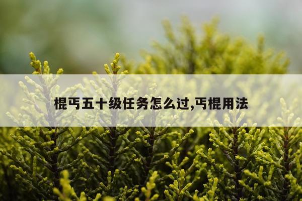 棍丐五十级任务怎么过,丐棍用法
