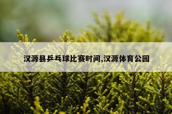 汉源县乒乓球比赛时间,汉源体育公园